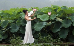 九九九99品牌的特色产品